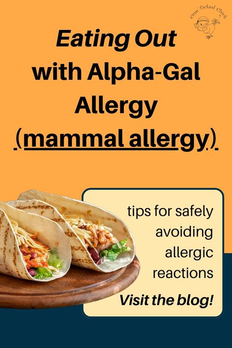 When you have a mammal allergy, eating out can be a very scary experience. Depending on the severity of your allergy, even 'safe' food items that are made with mammal products might cause an allergic reaction. But...does that mean you should skip restaurants entirely? Not necessarily! There are a lot of things you can do to help ensure you get a mammal-free meal, like carrying a food allergy chef card. Read the full blog post on my website! #mammalfree #alphagal Mediterranean Diet Menu, Chef Card, Alpha Gal, Healthy Weeknight Meals, Mango Recipes, Allergy Free Recipes, Free Meal, Food Allergy, Enjoy Yourself