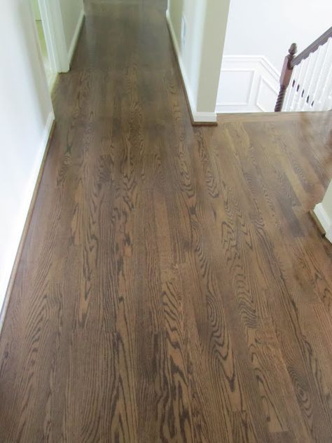 Spice Brown Floor Stain, Dark Walnut Floors, Oak Floor Stains, Staining Wood Floors, Floor Stain Colors, Wood Floor Stain Colors, Wood Floor Colors, Refinish Wood Floors, Red Oak Floors