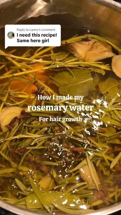 Hair Growth Tips & Hacks 💕 on Reels | Lana Del Rey · Radio Lana Del Rey, Rosemary Water For Hair Growth, Lana Del Rey Radio, Diy Hair Growth Oil, Diy Hair Oil, Rosemary Hair Growth, Rosemary Water, Healthy Natural Hair Growth, Growing Healthy Hair