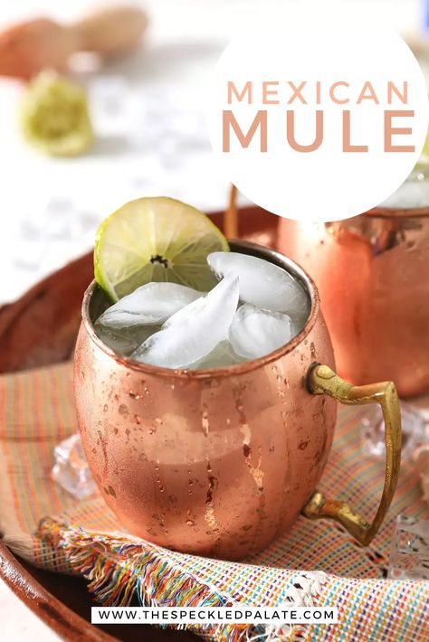 Smooth and balanced, the Mexican Mule is a tasty tequila cocktail. Made with three simple ingredients, this recipe is a twist on a classic Moscow Mule. #easyentertaining #cincodemayo #speckledpalate Mexican Mule Recipe, Mexican Mule, Blue Recipes, Liquid Luck, Moscow Mules, Moscow Mule Recipe, Tequila Cocktail, Mule Recipe, Spring Dishes