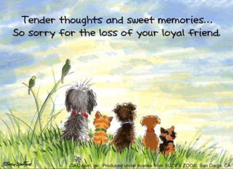 Pet Sympathy Quotes, Pet Condolences, Dog Sympathy Card, Suzys Zoo, Pet Sympathy Cards, Sympathy Quotes, Dog Sympathy, Loss Of Dog, Pet Sympathy