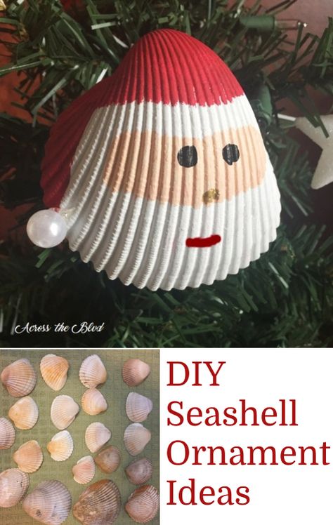 DIY Painted Santa Seashell Ornaments and other Easy DIY Shell Ornaments that are transformed into awesome Christmas ornaments. Featured on Completely Coastal. Free ornaments from the beach! Seashell Ornament, Seashell Christmas Ornaments, Painted Santa, Art Coquillage, Seashell Ornaments, Shell Crafts Diy, Creative Diy Gifts, Wine Bottle Diy Crafts, Mason Jar Crafts Diy