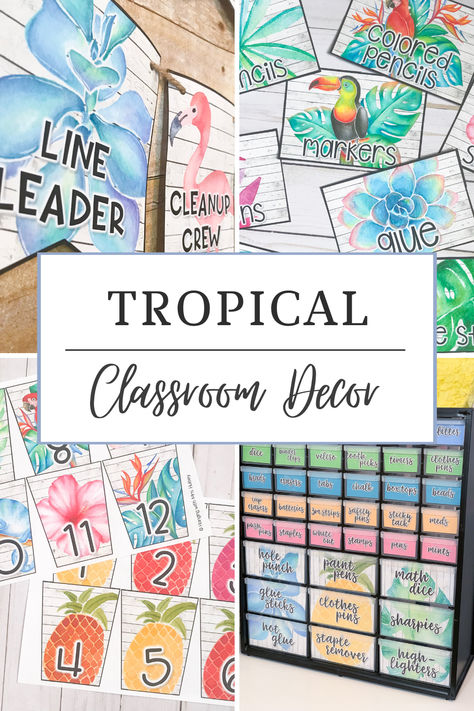 Looking for a tropical classroom decor theme? This classroom decor bundle will go perfectly in a tropical, rainforest, or shiplap themed room! I think it would also look great with neutral classroom decor! There are a ton of printable and editable decor pieces to help make your classroom more bright and beautiful.  #tropicaldecor #tropicalclassroom #tropicalclass #tropicalclassdecor #classdecor #classroomdecor #teaching #classdecorbundle #tropical #classtropical Classroom Themes For Middle School, Book Box Labels, Tropical Classroom Decor, Kindergarten Classroom Design, Class Birthday Display, Rainforest Classroom, School Year Themes, Tropical Classroom, Jungle Themed Room