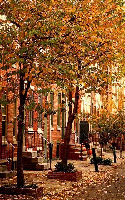 Washington Square, Autumn Scenes, Autumn Scenery, Philadelphia Pennsylvania, Autumn Beauty, Facebook Covers, Graphic Design Software, Best Seasons, Fall Pictures