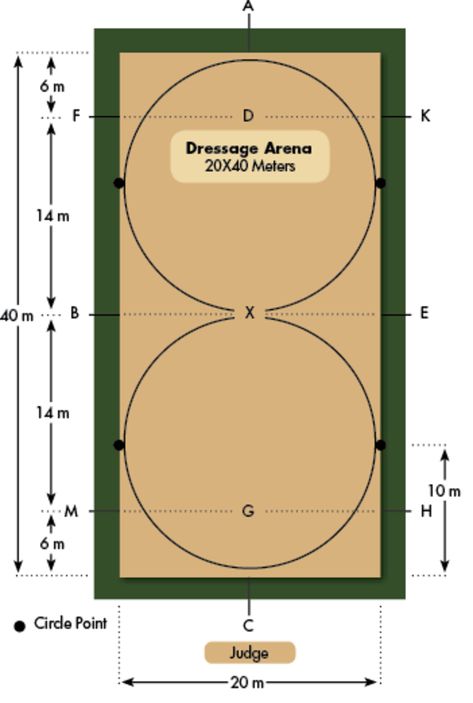 The Benefits of a Small Dressage Arena. Can the soundness of your dressage horse be related to the size of your arena? Equestrian School, Horse Riding Arena, Classical Dressage, Western Dressage, Dressage Tests, Horses Stuff, Dressage Arena, Riding Arena, Horse Lessons