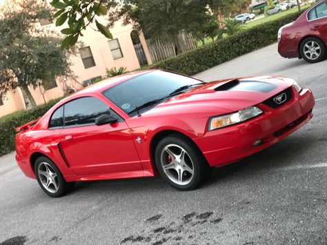 1999 Ford Mustang, 35th Anniversary, Shelby Gt500, Ford Mustang Gt, Mustang Gt, Ford Mustang, Mustang, Evolution, Bmw Car