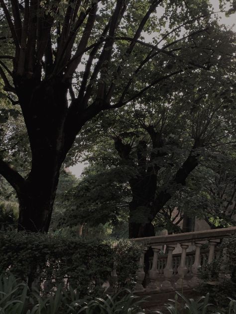 Mysterious Garden Aesthetic, Gloomy Garden Aesthetic, Grunge Garden Aesthetic, Victorian Garden Aesthetic Dark, Dark Academia Courtyard, Dark Academia Garden Aesthetic, Garden Gothic Aesthetic, Haunted Garden Aesthetic, Dark Academia Aesthetic Landscape