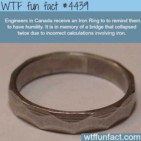 Iron ring -   WTF fun facts What The Fact, Iron Ring, Random Facts, Science Facts, Interesting Information, True Facts, The More You Know, Faith In Humanity, History Facts