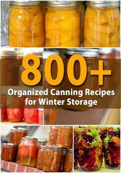 800+ Organized Canning Recipes for Winter Storage Recipes For Winter, Canning Fruit, Home Canning Recipes, Canning Vegetables, Canning Food Preservation, Canned Food Storage, Canning Tips, Canned Goods, Home Canning