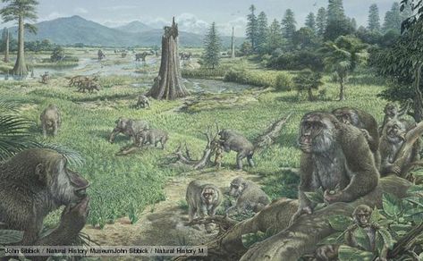 Miocene Charles Lyell, Evolution Of Plants, Prehistoric Landscape, Subduction Zone, History Wall, Rocks And Fossils, Prehistoric World, Modern Birds, Paleo Art