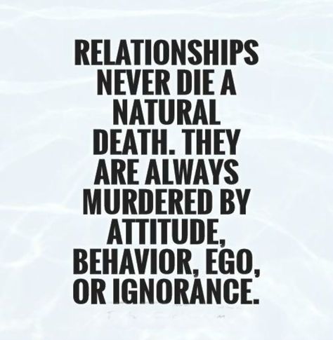 Killing relationships with attitude, behaviour, ego & ignorance Quotes About Attitude, Being Ignored Quotes, Ego Quotes, Bad Relationship, Visual Statements, A Quote, Attitude Quotes, Great Quotes, True Quotes