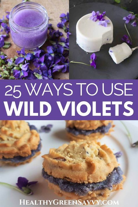 Wondering what to do with all those beautiful wild violets in your yard? Check out these 25 creative wild violet recipes and put these lovely plants to use. Don't worry if the flowers are long gone: Violet leaves can be used in loads of wild violet recipes as well. | edible wild plants | recipes with wild violets | foraging | Violet Recipes, Medicinal Herbs Remedies, Wild Violets, Edible Flowers Recipes, Wild Food Foraging, Foraging Recipes, Violet Leaves, Homemade Soda, Edible Wild Plants