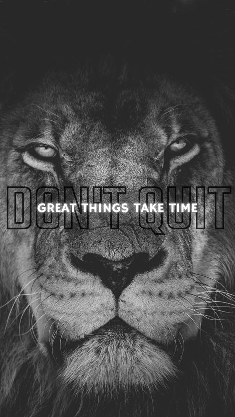 Wallpaper of lion with Don't quit quote. Fitness Quotes, Don't Quit Wallpaper, Dont Quit Wallpaper, Quit Wallpaper, Quit Quotes, Dont Quit Quotes, Fit Quotes, Quitting Quotes, Space Iphone Wallpaper