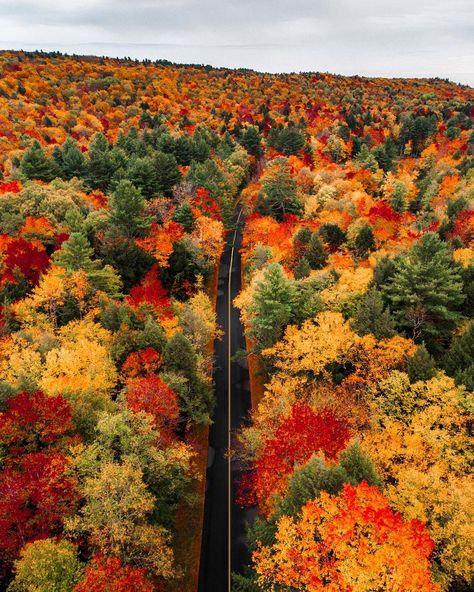 30.4k Likes, 351 Comments - Huck (@kylefinndempsey) on Instagram: “The paint has mostly worn off of the hills but the white blankets will be here soon 🍂❄️” Massachusetts Aesthetic, White Blankets, Fall River Massachusetts, Massachusetts Travel, The Berkshires, New England Travel, New England Fall, Colorful Trees, Autumn Scenery