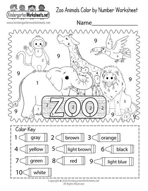 Kindergarten Zoo Animals Color by Number Worksheet Printable Zoo Worksheets, Animal Learning Activities, Zoo Lessons, Zoo Animals Preschool, Christmas Worksheets Kindergarten, Animals Worksheet, Coloring Worksheets For Kindergarten, Zoo Coloring Pages, Zoo Animal Coloring Pages