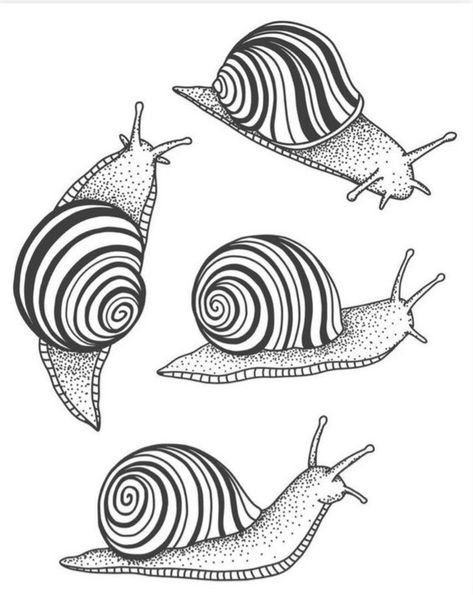 Cute Snail Doodle, Snail Outline, Snail Tattoo Design, Snail Drawing, Snail Illustration, G Tattoos, Snail Tattoo, Shell Drawing, Optical Illusion Tattoos