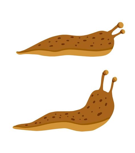 Green and brown slug. Set of slippery insects. Flat cartoon illustration isolated on white background Slug Illustration, Classroom Clipart, Vector Nature, Creative Birthday, Background Background, Slug, Background White, 3d Modeling, Cartoon Illustration