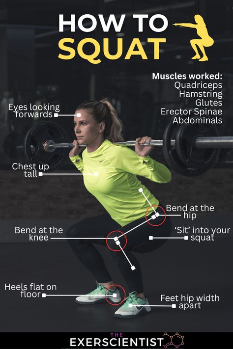 Woman squatting with a barbell on her back. She is bent at the tip, and knee in a good squat position. How To Squat Properly With Bar, Squats With Weights Bar, Barbell Squats Women, How To Squat, Squat With Barbell, Squat Videos, Squat Properly, Squats Muscles Worked, Squats Exercise