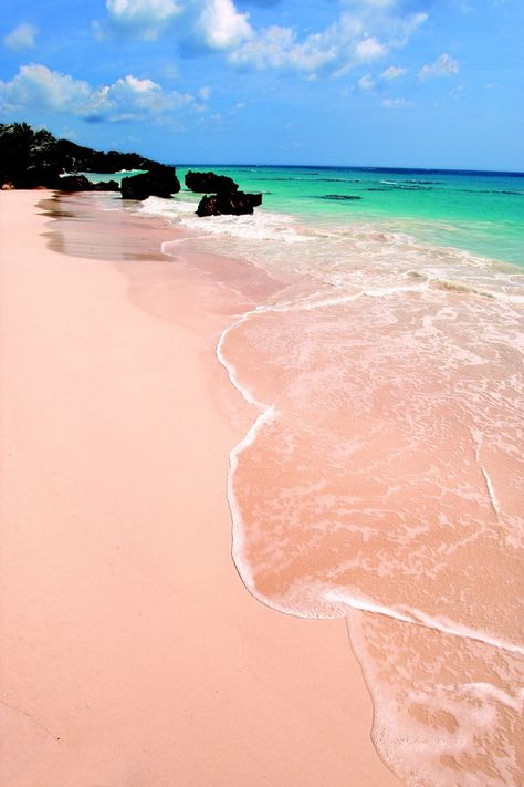 Pink Sand Beaches, Bermuda Pink Sand Beach Bermuda, Pink Sand Beach, Caribbean Vacations, Caribbean Beaches, Destination Voyage, Palawan, Pink Sand, Palau, Vanuatu