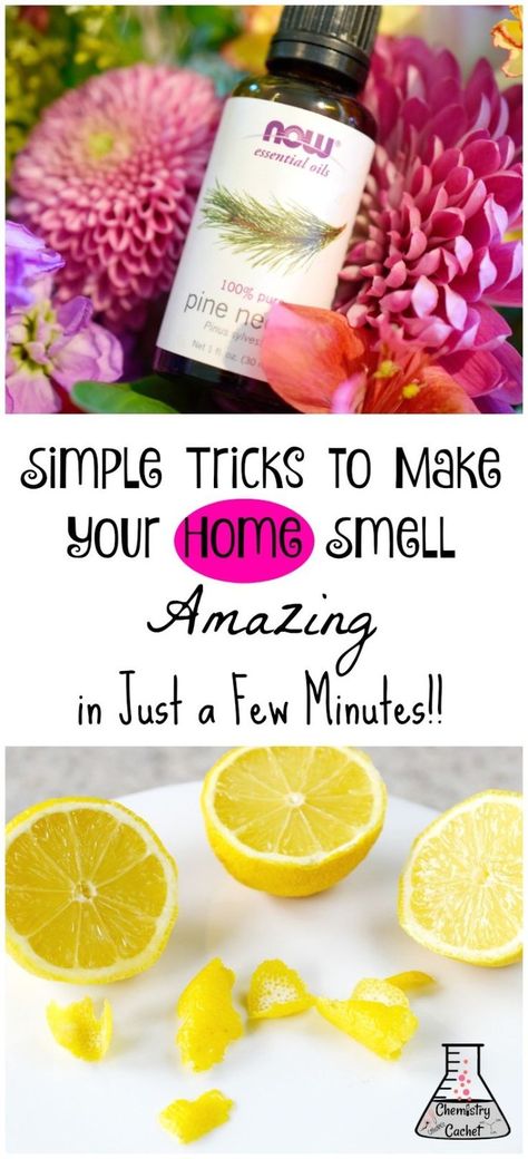 Diy Room Scents, Smell Hacks For Home, Make Your Home Smell Amazing, Now Essential Oils, Homemade Air Freshener, February Nails, Home Smell, Room Scents, Room Smells