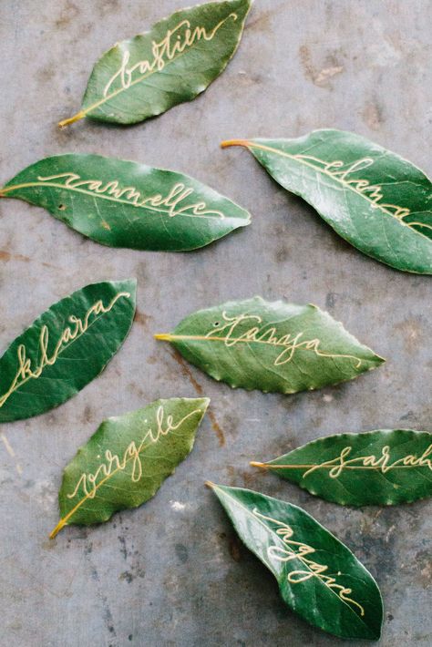 Garden Provence, Secret Garden Parties, Magnolia Leaf, Dinner Party Decorations, Garden Party Decorations, Secret Garden Wedding, Outdoor Wedding Inspiration, Outdoor Dinner, Garden Birthday