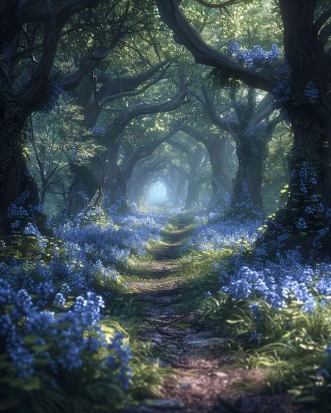 Mystical Forest, Magic Forest, Pretty Landscapes, Fantasy Places, Fantasy Art Landscapes, Fantasy Aesthetic, Magical Forest, Ethereal Art, ��판타지 아트