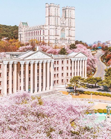 Bonito, Kyung Hee University, Kyunghee University, Campus Aesthetic, Student Exchange, Seoul Cafe, Yonsei University, Best Universities, Korea University