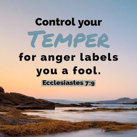 Daily Bible Verses on Instagram: “Type "Amen" if you agree😇 (Follow @bible_verses365_ for more) Control your temper, for anger labels you a fool. Ecclesiastes 7:9…” Ecclesiastes 7 9, Ecclesiastes 7, Daily Bible Verses, Todays Verse, Encouraging Quotes, Daily Verses, Encouraging Scripture, Prayer Scriptures, Daily Bible Verse