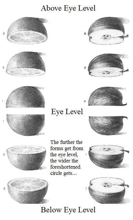 Drawing from above, below and at eye-level. Artistic perspectives, shown with graphite sketches. Learn to draw! Art Handouts, Perspective Drawing Lessons, Observational Drawing, Art Worksheets, Perspective Art, Perspective Drawing, School Art Projects, Art Instructions, Drawing Lessons