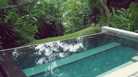 Plunge Pool Cost, Cold Plunge Pool, Diy Pools, Modern Flats, Plunge Pool Ideas, Cocktail Pools, Large Water Features, Bamboo Landscape, House Color Palette