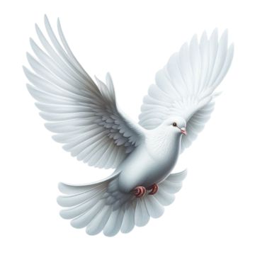 peace dove flying in on the cross,dove of peace,peace dove,dove,flying,holy spirit dove,pigeon,silhouette,animal silhouette,bird,flying dove,dragonfly,peace,birds,fly,cartoon,flying pigeon,animal,white,white pigeon,cross,holy dove,olive branch,peace clip art,peace symbol,cartoon dove of peace,dove drawing,wing drawing,peace drawing,fly drawing,pea drawing,flying drawing,dove sketch,flying sketch,simple,line draw,line,peace day,shelves,flying cartoon,pentecost,flying dove of peace,dove petals,car Pigeon Silhouette, Pea Drawing, Dove Sketch, Dove Sketches, Fly Cartoon, Dove Png, Dove Olive Branch, Flying Drawing, Tattoo Elements