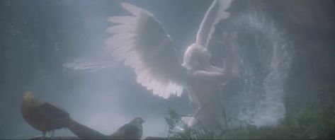 date with an angel (1987) Animals, Date With An Angel, Cottagecore Forest, Hozier, An Angel, Pretty Pictures, Forest, Angel