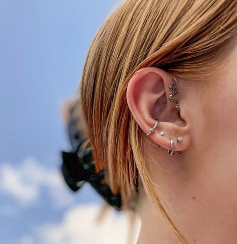 Forward Helix And Conch Piercing, Conch And Forward Helix Piercing, Forward Helix Hoop, Double Forward Helix Piercing, Forward Helix Piercing, Forward Helix, Helix Hoop, Snake Earrings, Conch Piercing