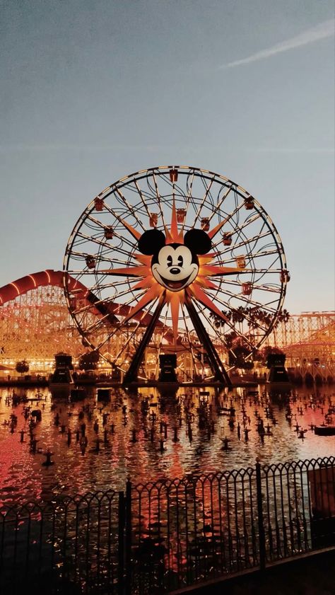 Mickey Ferris Wheel, Disney Ferris Wheel, Coaster Aesthetic, Disney Calendar, California Adventure, Disney Pins, Happy Moments, Roller Coaster, Fireworks