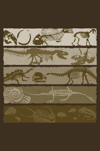 size: 18x12in Art Print: Dinosaur Fossil Layers - Lantern Press Artwork by Lantern Press : Fossil Layers, Layers Art, Dinosaur Stamps, Dinosaur Fossil, Dinosaur Posters, Layered Art, Dinosaur Funny, The Good Dinosaur, Free Canvas