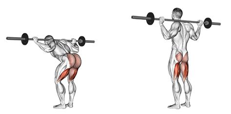 Barbell Good Mornings Barbell Good Morning Exercise, Barbell Good Morning, Body Weight Squat, Gym Workout Guide, Body Coach, Leg Workouts, Gym Photos, Better Body, Gym Tips