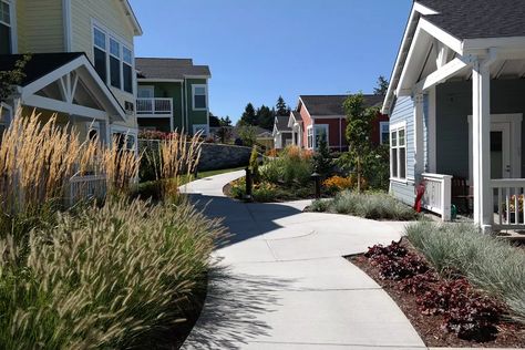 Pocket Neighborhood Cottages, Pocket Neighborhood Layout, Cottage Court, Pocket Neighborhood, Eco Village, Senior Housing, Senior Living Communities, Retirement Community, Small Homes