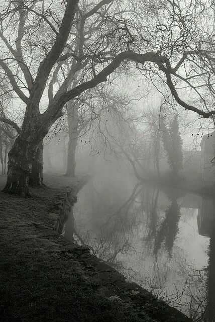 Victorian Gothic Aesthetic, Foggy Day, Southern Gothic, Gothic Aesthetic, Gothic Horror, Victorian Gothic, Enchanted Forest, Black And White Photography, Dark Aesthetic