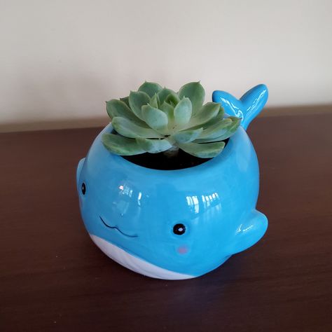 "This animal planter is a Whale with a happy face. This pot version is larger than the other whale planter I have listed, and it has a drainage hole with mesh cover for better draining when you water your plant. This is a ceramic Happy Whale Planter planted with a Live Succulent. This planter does have a drainage hole with a mesh cover. A plug is also included in case you want to close up the hole. The planter dimensions are 6\" x 4\" x 2.5\", and the opening is about 2.5\" wide. Each pot is car Fimo, Whale Pinch Pot, Functional Animal Pottery, Creative Pinch Pot Ideas, Cute Pinch Pot Ideas Easy, Animal Clay Pots, Pinch Pot Animals Ceramics, Animal Pinch Pots, Pinch Pot Animals