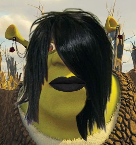 Material Gworl Shrek, Hot Shrek Fan Art, Emo Pfp Funny, Shrek Cursed, Shrek Pfp, Cursed Image Pfp, Emo Profile Pictures, Shrek Core, Shrexy Shrek