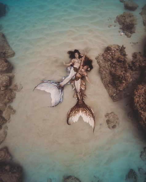 Mermaid Serenity and Merbella by Oceanobscura Mermaid Matching Pfp, Colorful Mermaid, Light Mermaid Aesthetic, Mermaids In Love, Mermaid Family, Brunette Mermaid, Two Mermaids, Mermaid Astethics, Mermaid Vibes