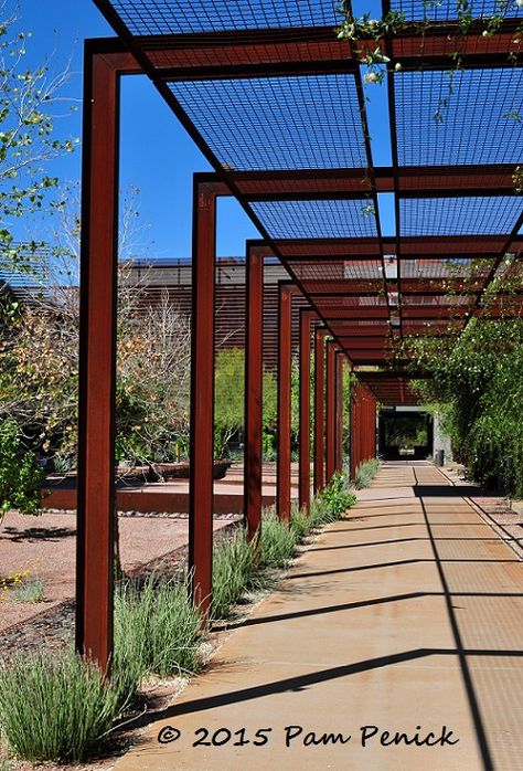 Corten arbors at Arizona State University Polytechnic campus | Digging Ombra Pergola, Taman Air, Steel Pergola, Building A Pergola, Modern Pergola, Pergola Design, Office Office, Arizona State University, Pergola Plans