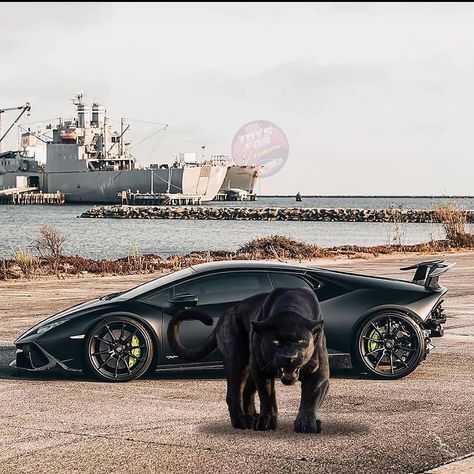 🖤🖤Lamborghini Black love 🖤🖤 on Instagram: “🖤The Beast🖤With Black Panther🖤 . . Photo cr:Dm me . . 👍Like📣Share🦸follow ▪️▪️▪️▪️▪️▪️▪️ Follow @lambo_dark Follow @lambo_dark Follow…” Black Panther Photo, Panther Photo, Lamborghini Black, Joker Character, Cars India, Black Beast, Car Shopping, Best Luxury Cars, Automotive News