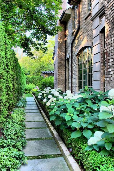 georgianadesign: Glencoe ‘French chateau’ formal landscape.... #landscapearchitecture Landscape Designs, Side Gardens, Chicago Landscape, Hydrangea Landscaping, Side Yard Landscaping, Side Yards, Desain Lanskap, Modern Landscape Design, Side Garden