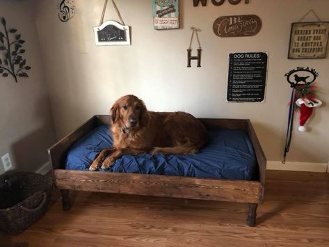 Xl Dog Bed Diy Ideas, Diy Dog Bed Frame For Large Dogs, Homemade Dog Beds For Large Dogs Diy, Diy Big Dog Bed, Living Room With Dog Beds, Dog Couch Diy, Great Dane Bed Ideas, Dog Bed Frame Diy, Elevated Dog Beds For Large Dogs