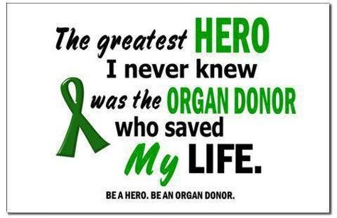 Organ+Donation+Quotes | ... register to be an organ donor. You could become someone’s hero Organ Donor Quotes, Organ Donation Quotes, Donation Quotes, Living Kidney Donor, Organ Donation Awareness, Kidney Donor, Lung Transplant, Donate Life, Organ Donor