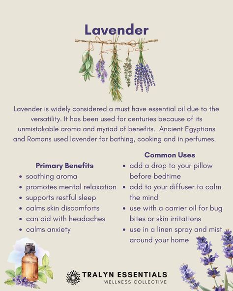 Lavender Essential Oil 💜 This is one of my favorites, so many benefits & uses! #lavenderessentialoil #lavender #essentialoils #essentialoilsrock #calming #mindbodysoul #healthandwellness #healthjourney #oilylife #oilymama #naturalsolutions #holistichealth #tralynessentials #tralynessentialswellness Lavender Health Benefits, Lavender Oil Uses, Lavender Essential Oil Uses, Lavender Oil Benefits, Earth Medicine, Lavender Benefits, Oil Benefits, Linen Spray, Essential Oil Uses