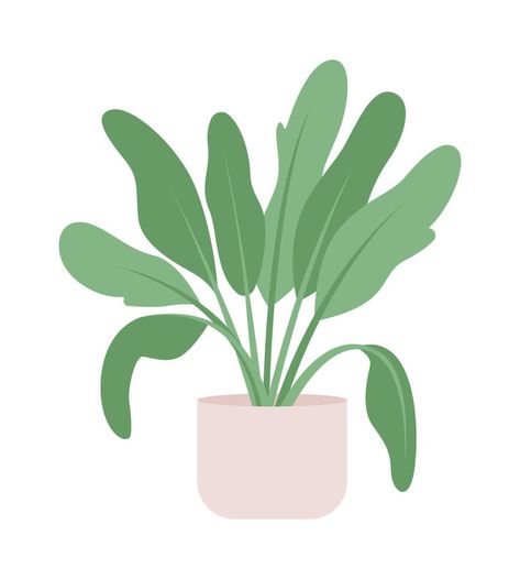 Large sized plant for living room semi flat color vector object. Editable element. Full sized item on white. Decor simple cartoon style illustration for web graphic design and animation Plant Illustration Simple, Animated Plants, Plant Animation, Plant For Living Room, Journaling Pictures, Plant Living Room, Living Room Drawing, Plant Cartoon, Room Drawing