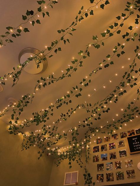 Fairy Light Ceiling Ideas, Vine Lights On Ceiling, Vines And Fairy Lights Bedroom, Botanical Aesthetic Room, Fairy Lights And Vines, Fairy Lights For Bedroom, Hanging Fairy Lights, Fairy Lights Bedroom, Comfy Bedroom