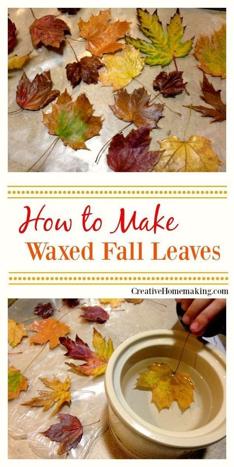 Diy Thanksgiving, Thanksgiving Diy, Fall Thanksgiving Decor, Fall Deco, Leaf Crafts, Autumn Decorating, Autumn Crafts, Fall Projects, Deco Floral